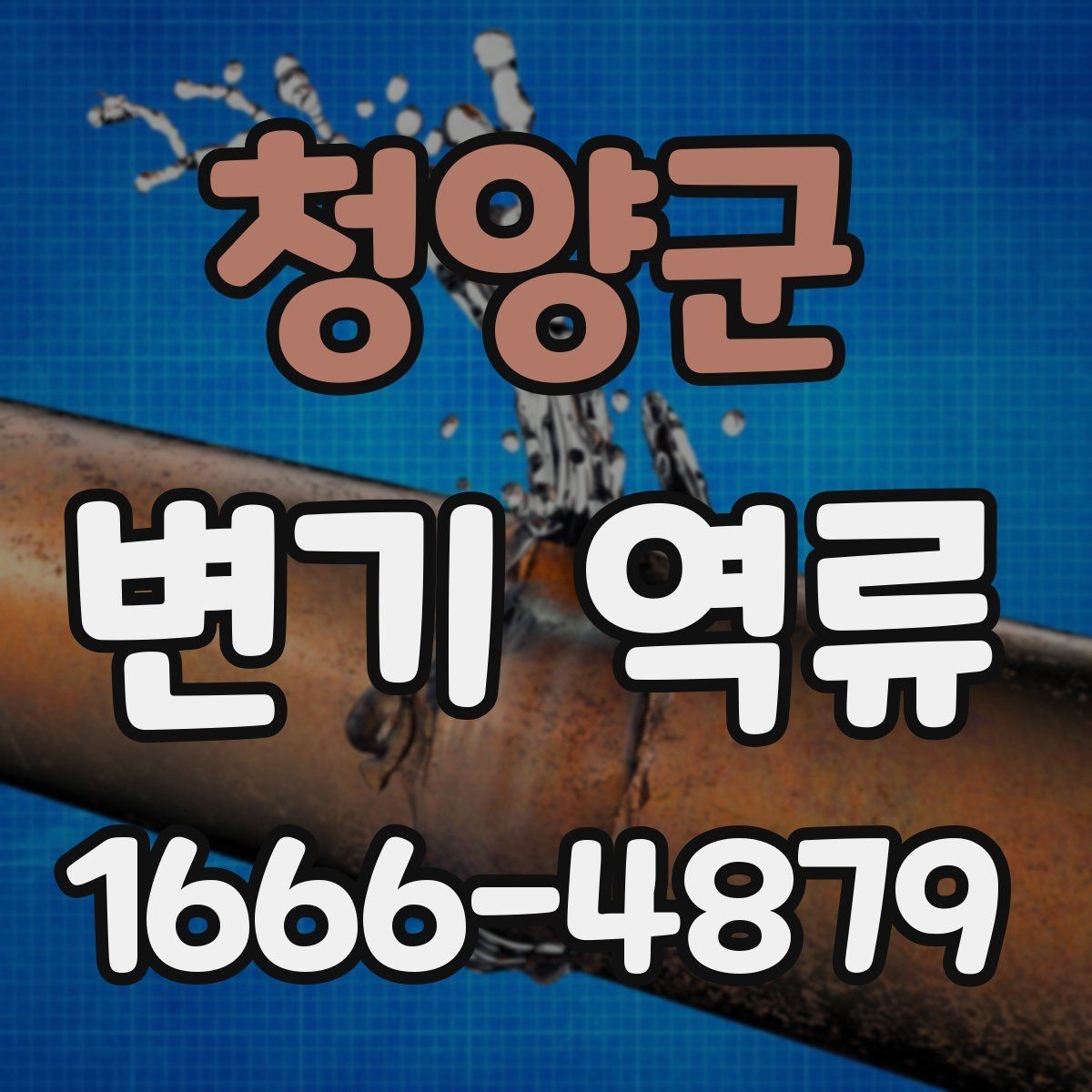 청양군 변기 역류 점검을 직접 해볼 때