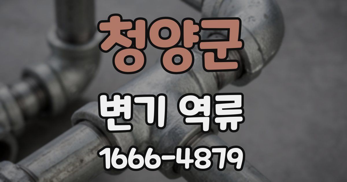 청양군 변기 역류