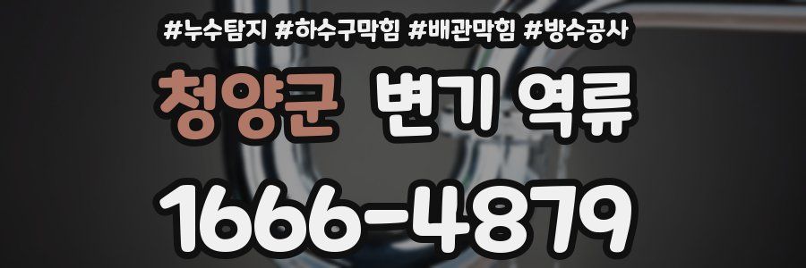 청양군 변기 역류