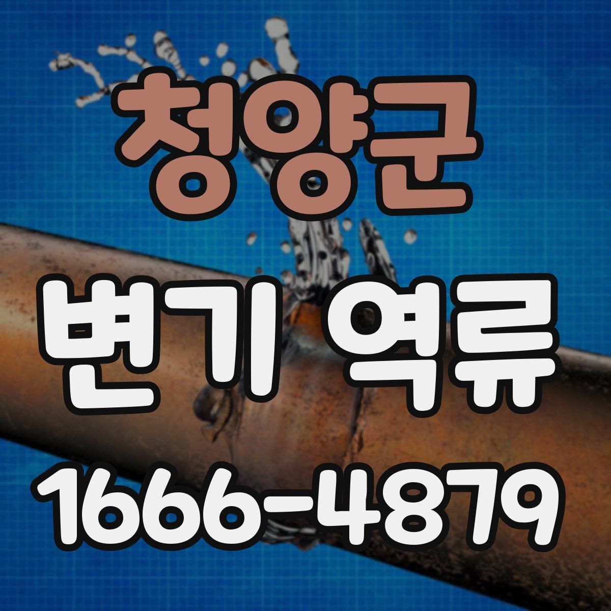청양군 변기 역류