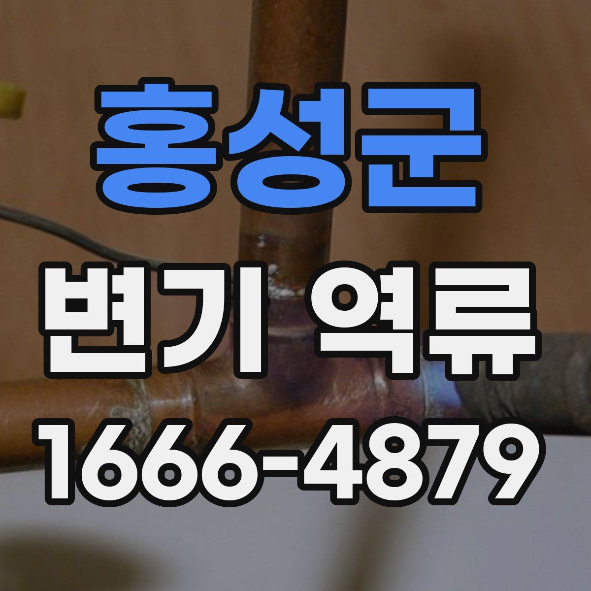 홍성군 변기 역류