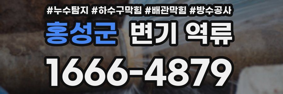 홍성군 변기 역류