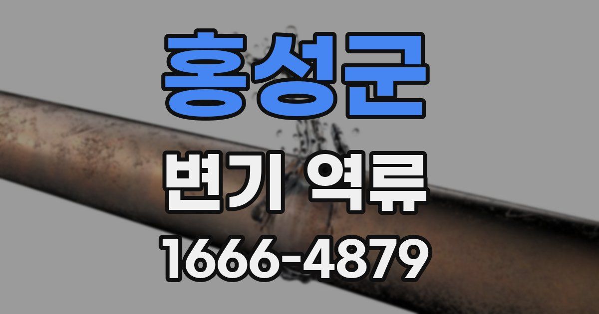 홍성군 변기 역류