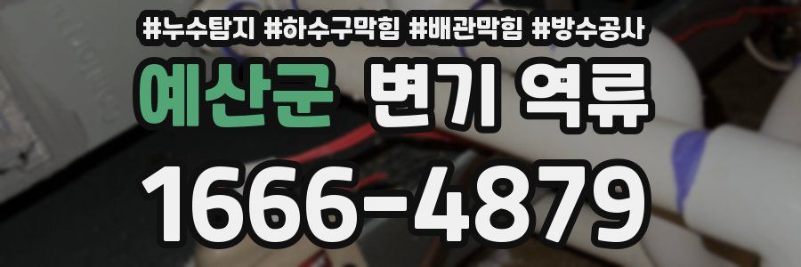 예산군 변기 역류
