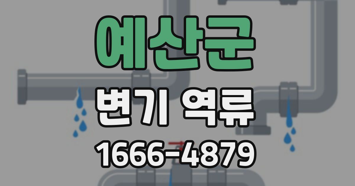 예산군 변기 역류