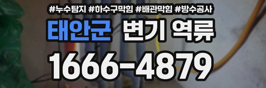 태안군 변기 역류