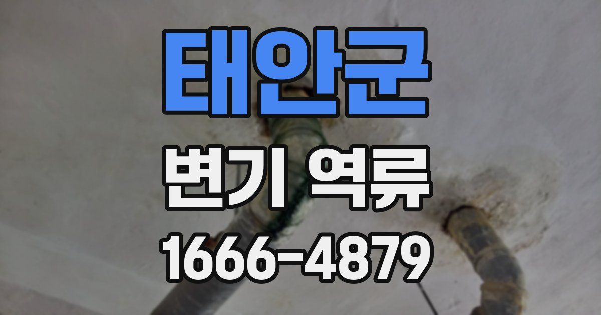 태안군 변기 역류