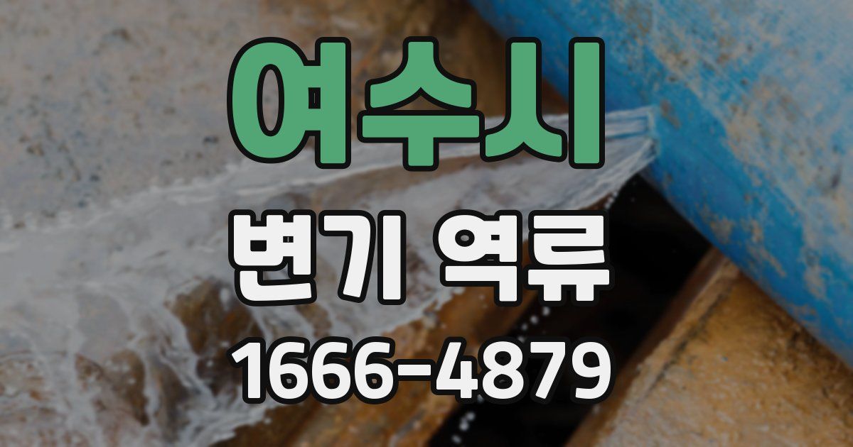 여수시 변기 역류