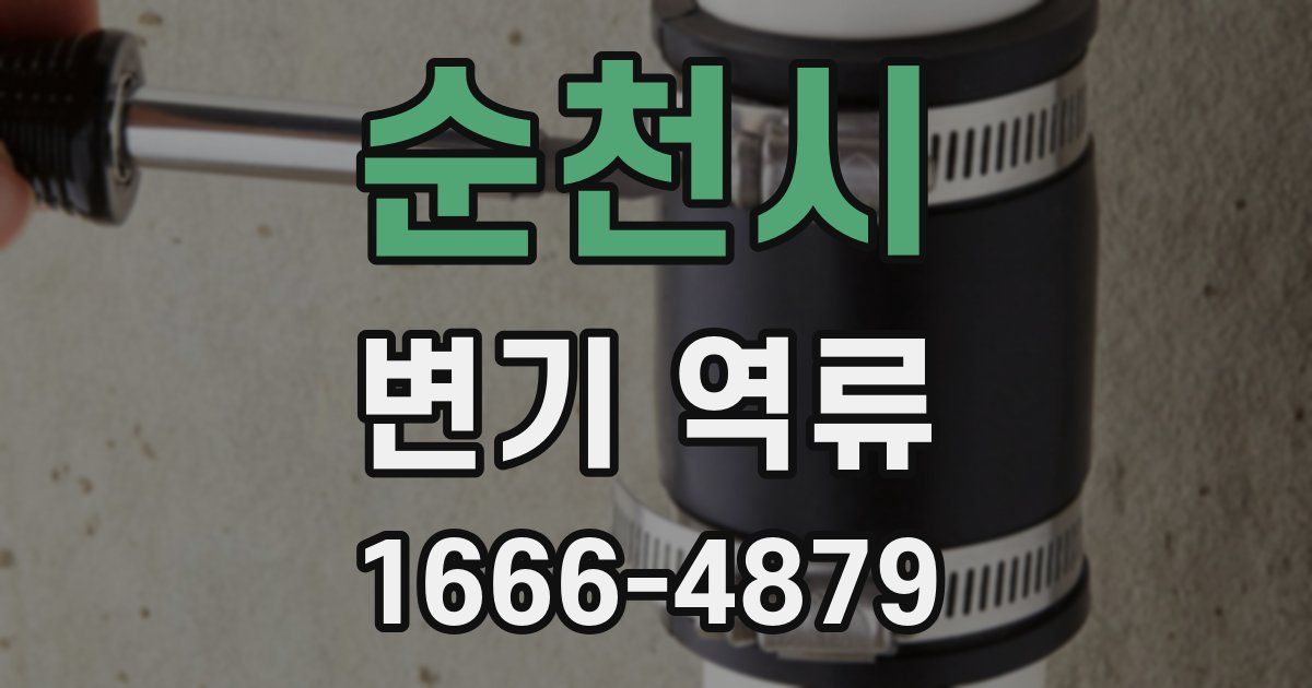 순천시 변기 역류