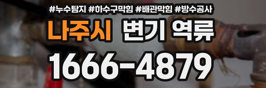 나주시 변기 역류