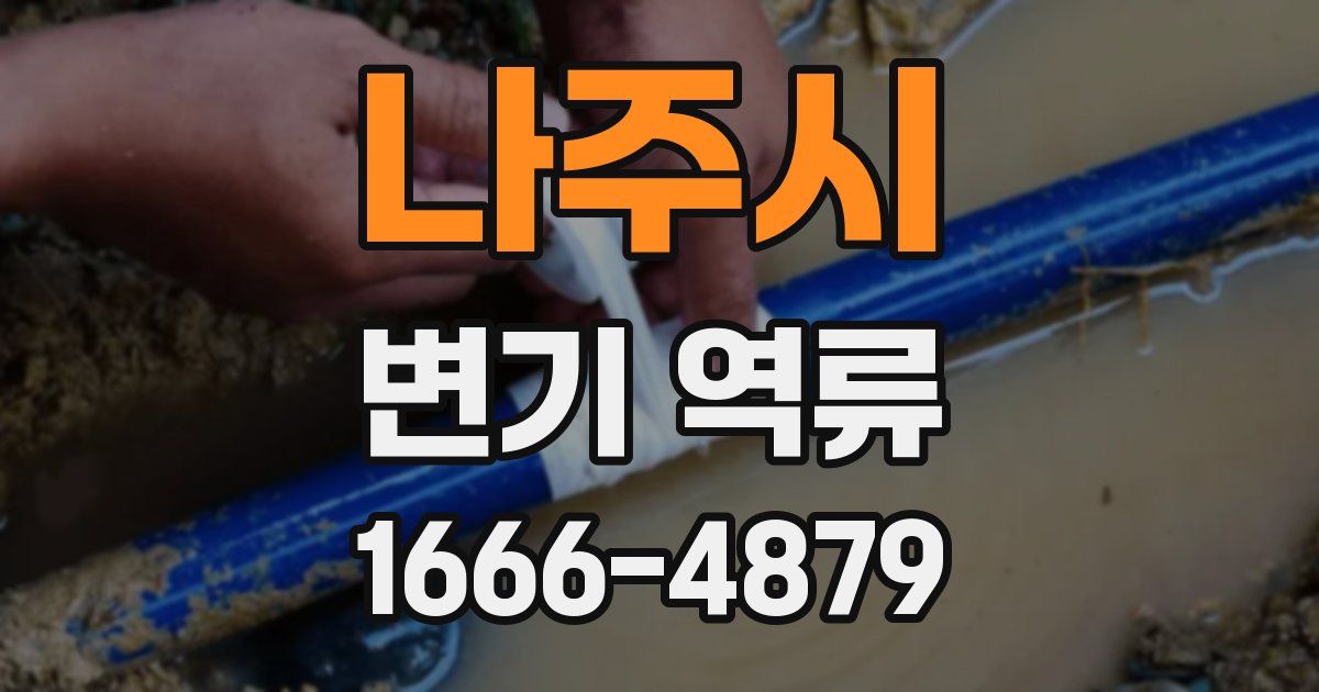 나주시 변기 역류