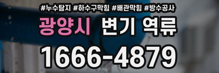 광양시 변기 역류
