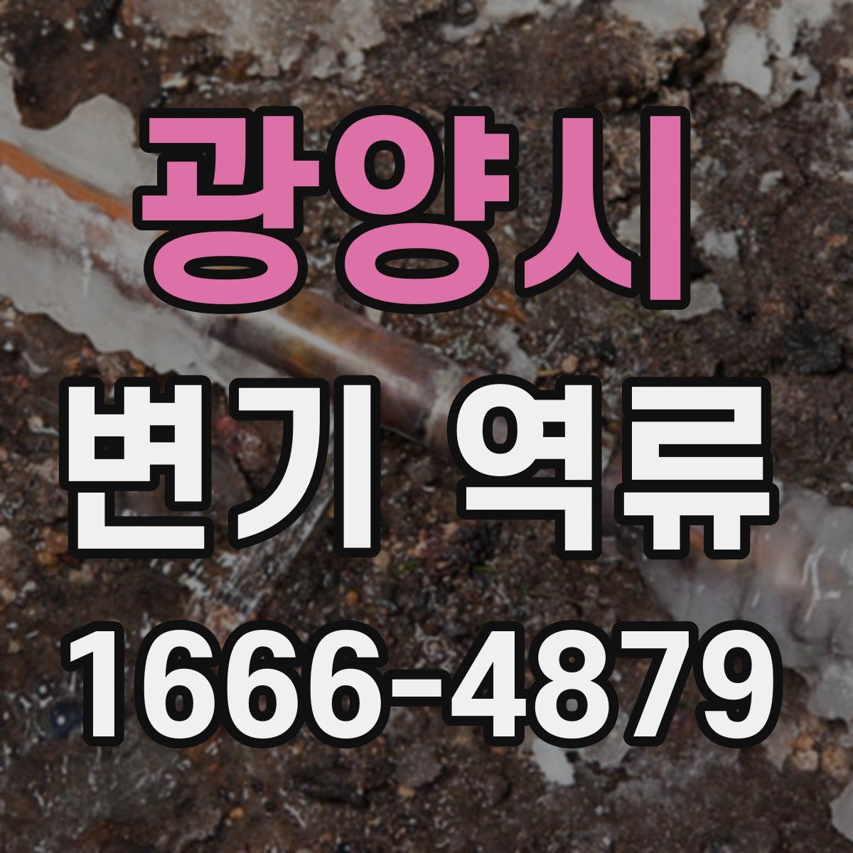광양시 변기 역류