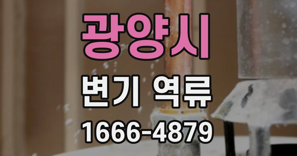 광양시 변기 역류