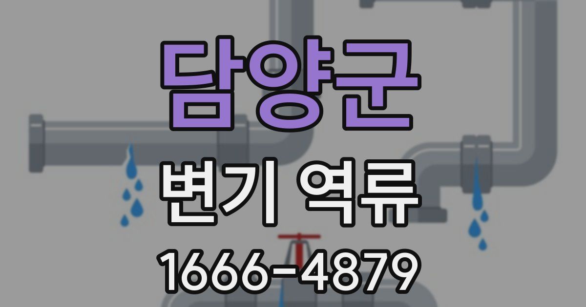 담양군 변기 역류