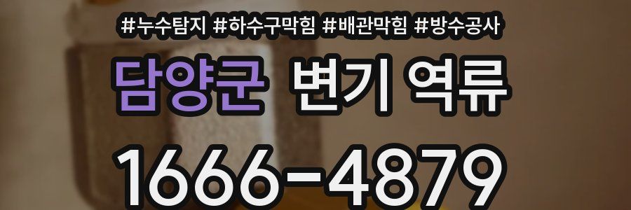 담양군 변기 역류
