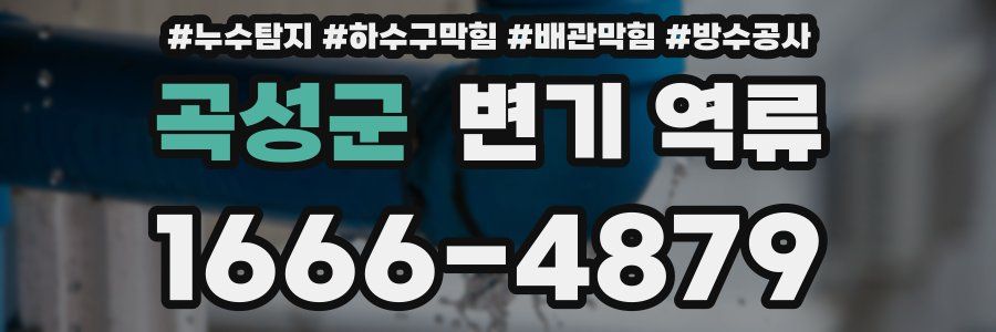 곡성군 변기 역류