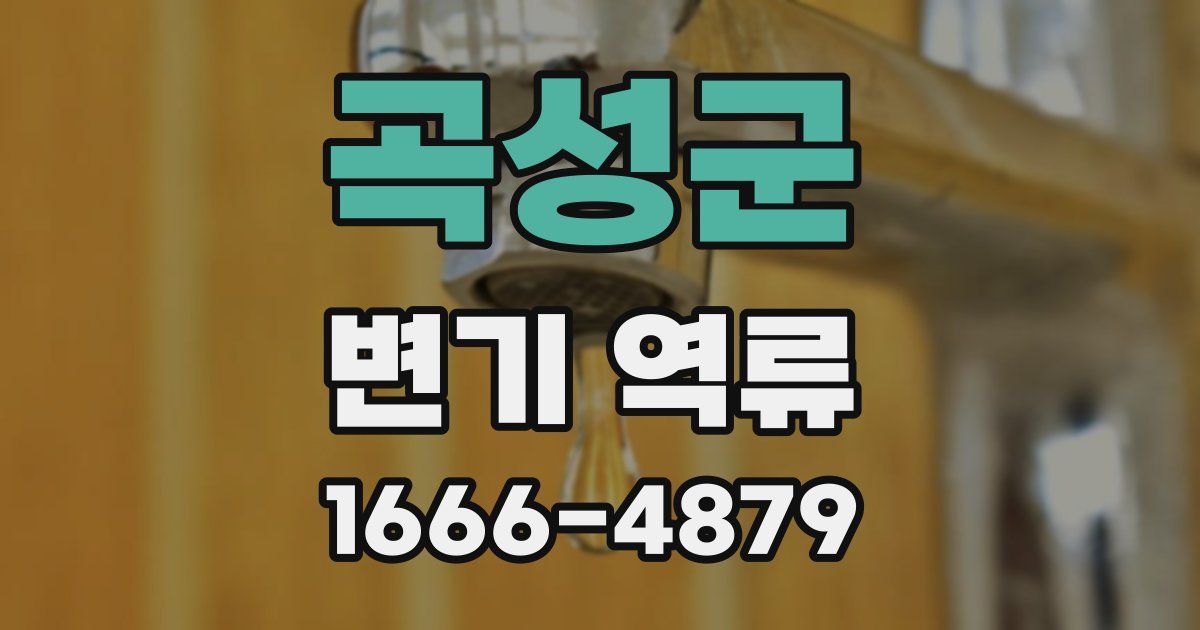 곡성군 변기 역류