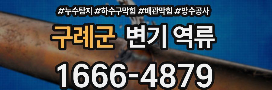 구례군 변기 역류