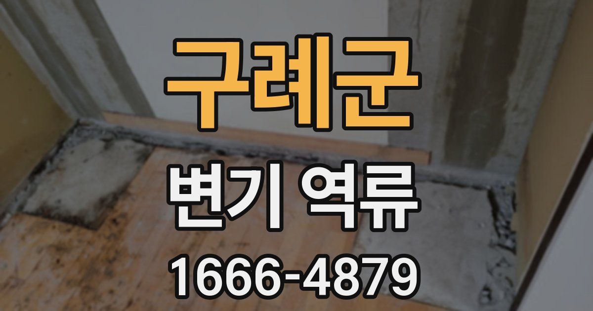 구례군 변기 역류