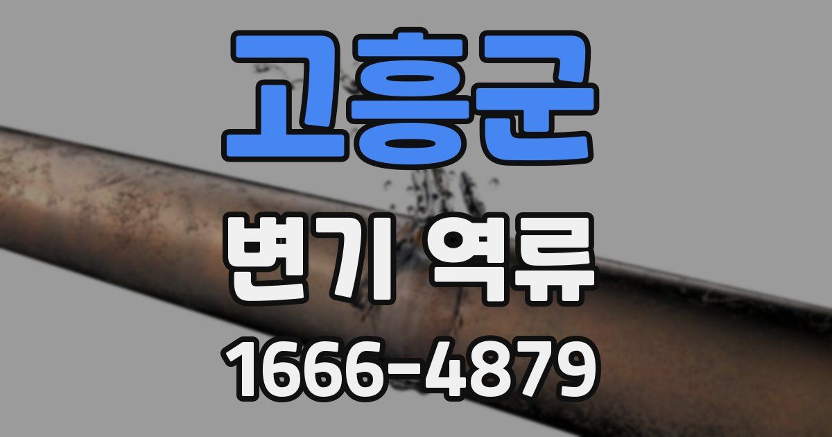 고흥군 변기 역류