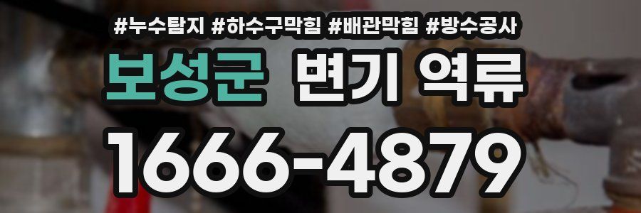 보성군 변기 역류