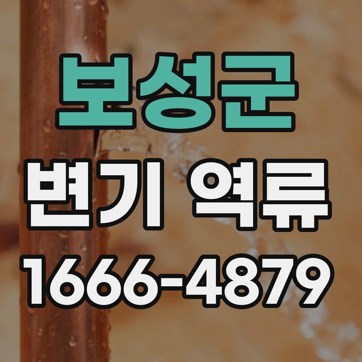 보성군 변기 역류