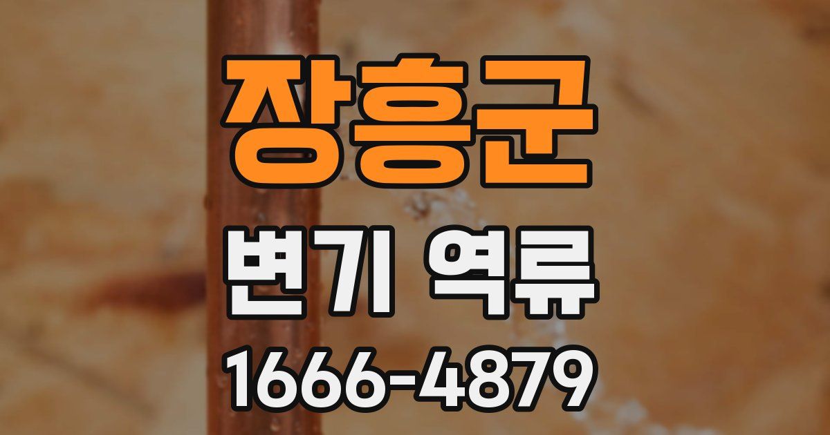 장흥군 변기 역류