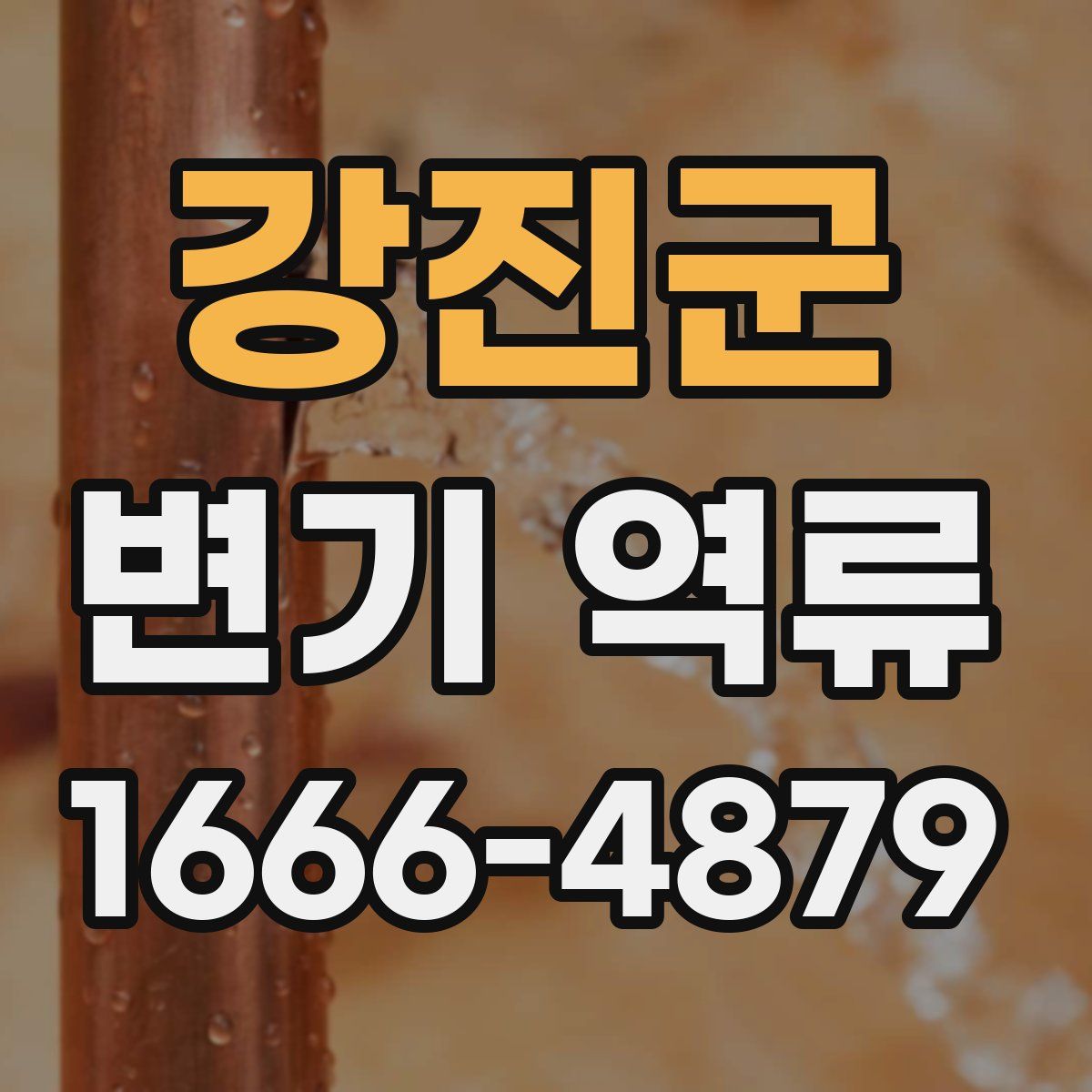 강진군 변기 역류