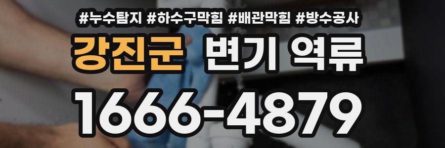 강진군 변기 역류