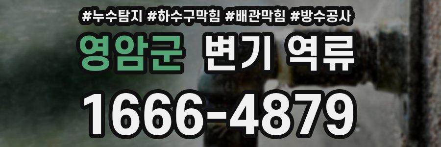 영암군 변기 역류
