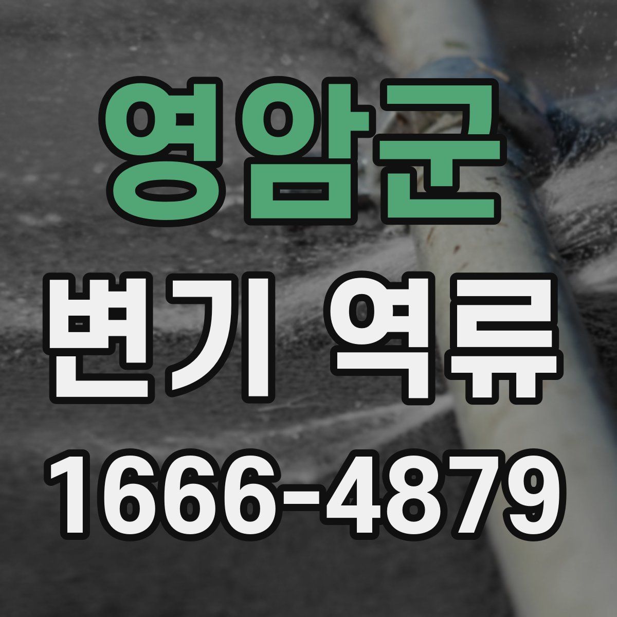 영암군 변기 역류