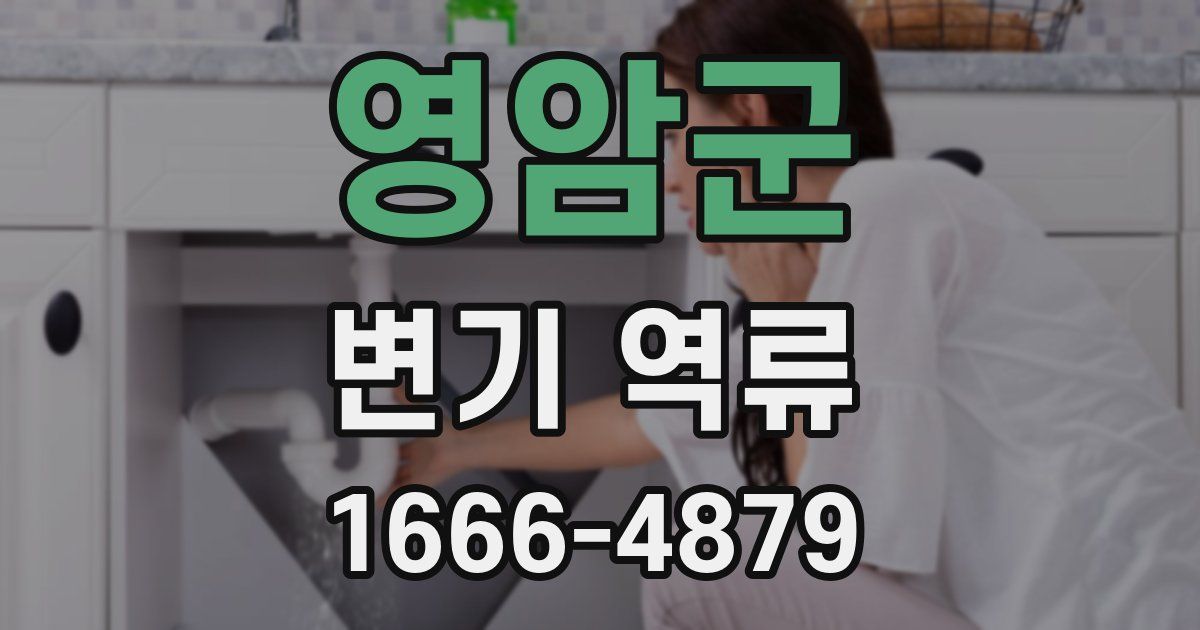 영암군 변기 역류