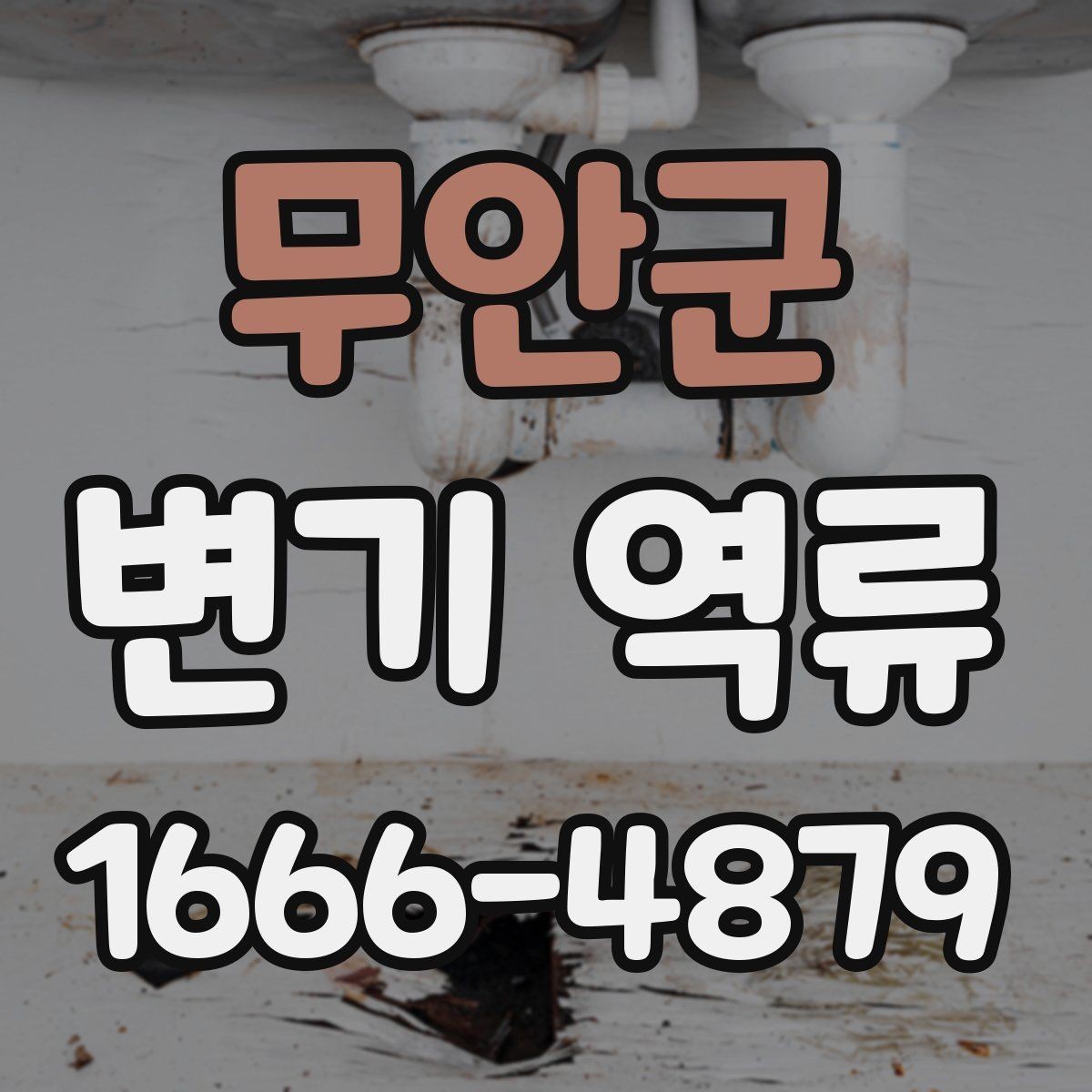무안군 변기 역류 원인 파악을 위한 기본 점검