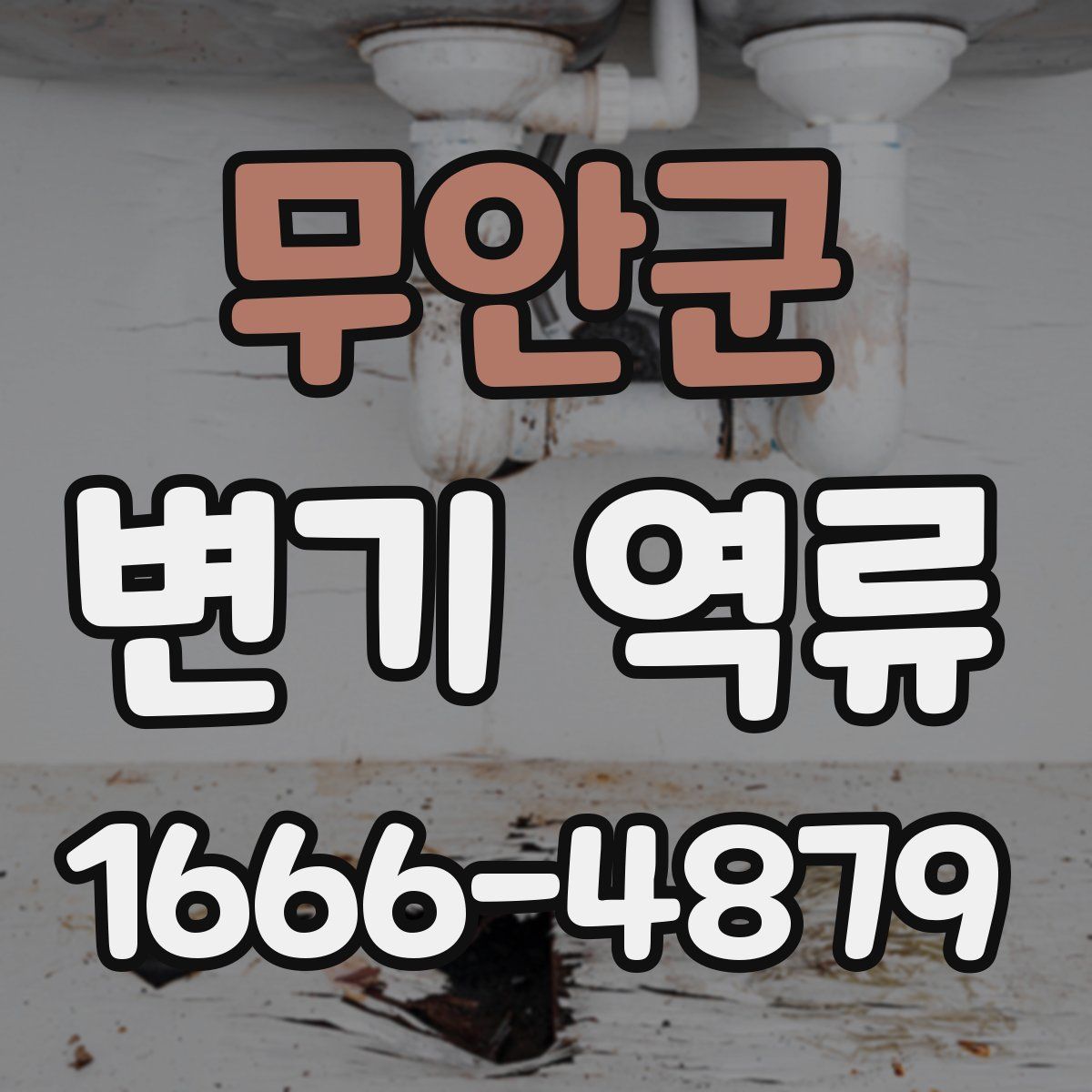 무안군 변기 역류
