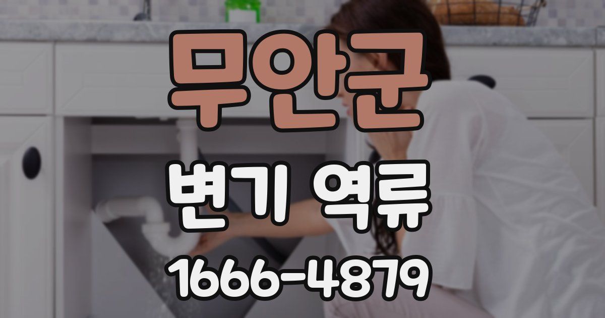 무안군 변기 역류