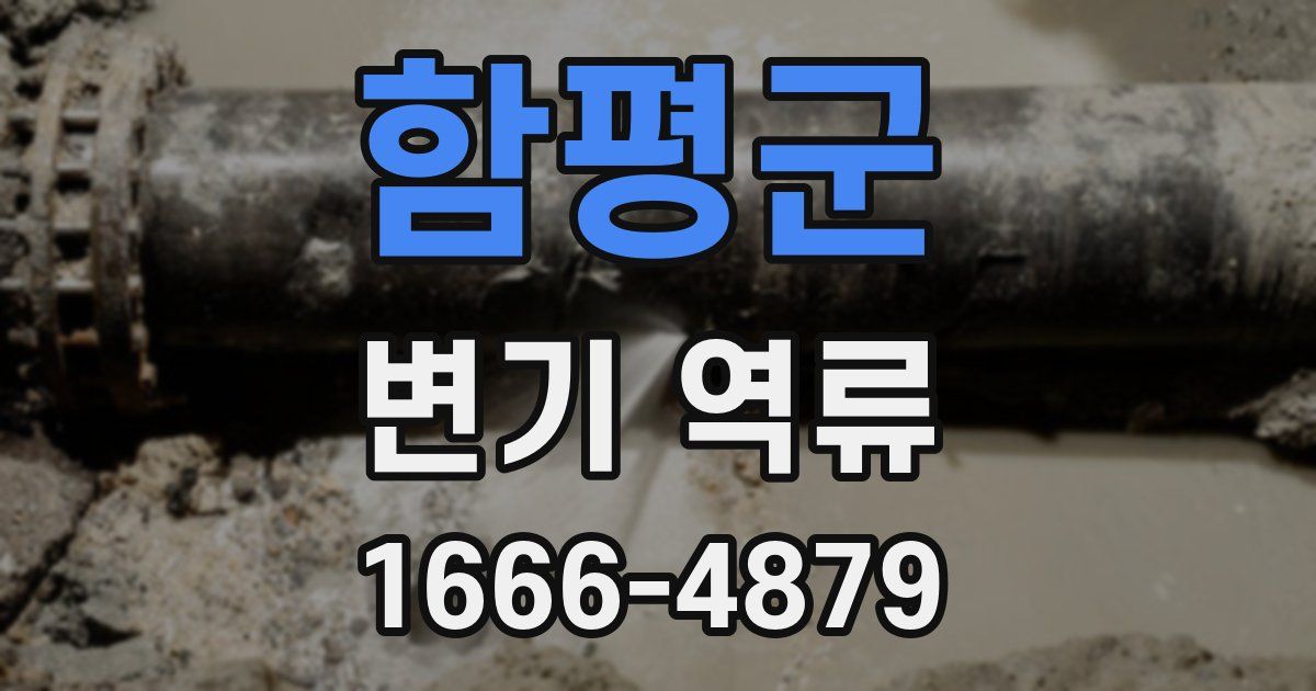 함평군 변기 역류