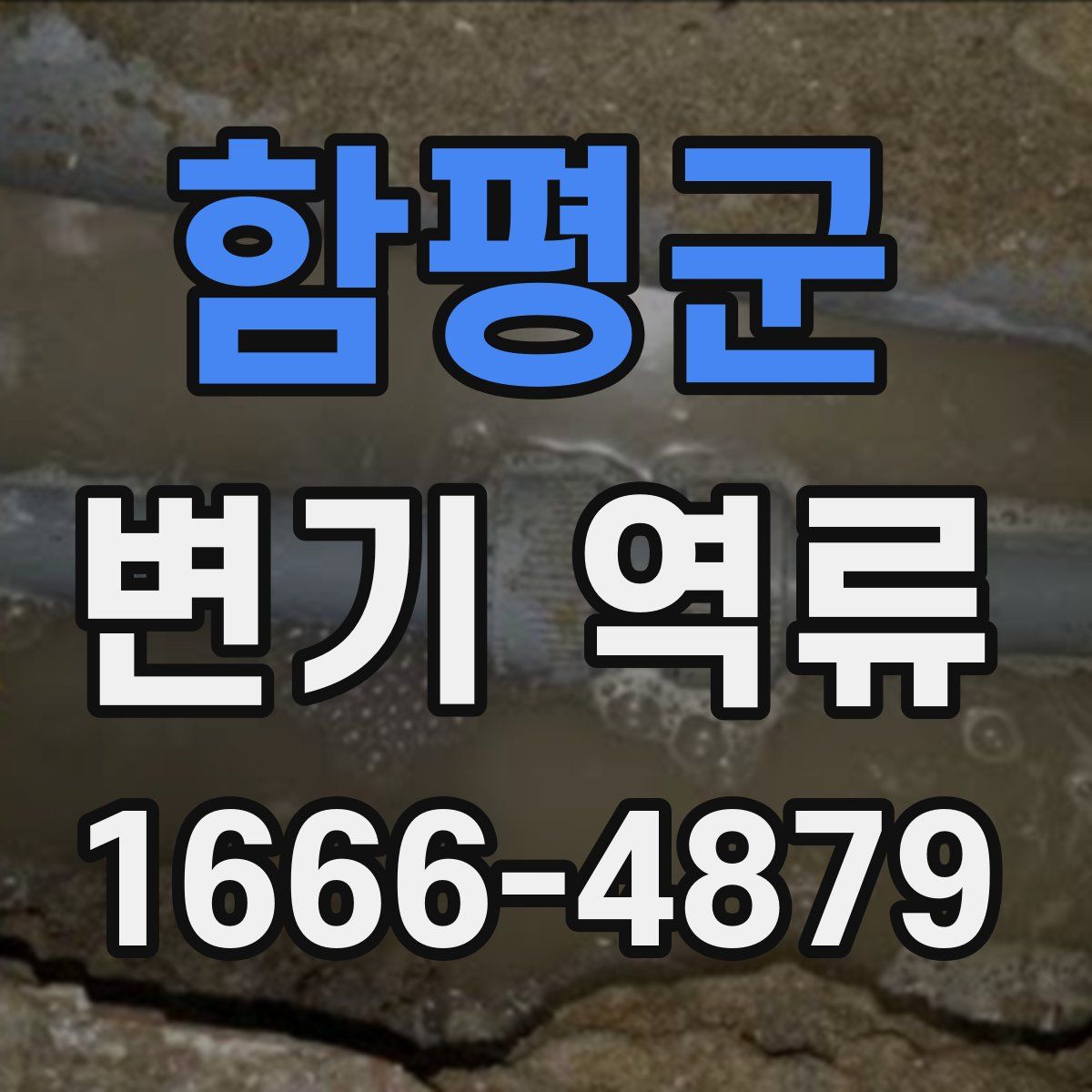 함평군 변기 역류