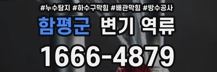 함평군 변기 역류