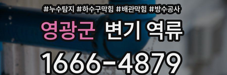 영광군 변기 역류
