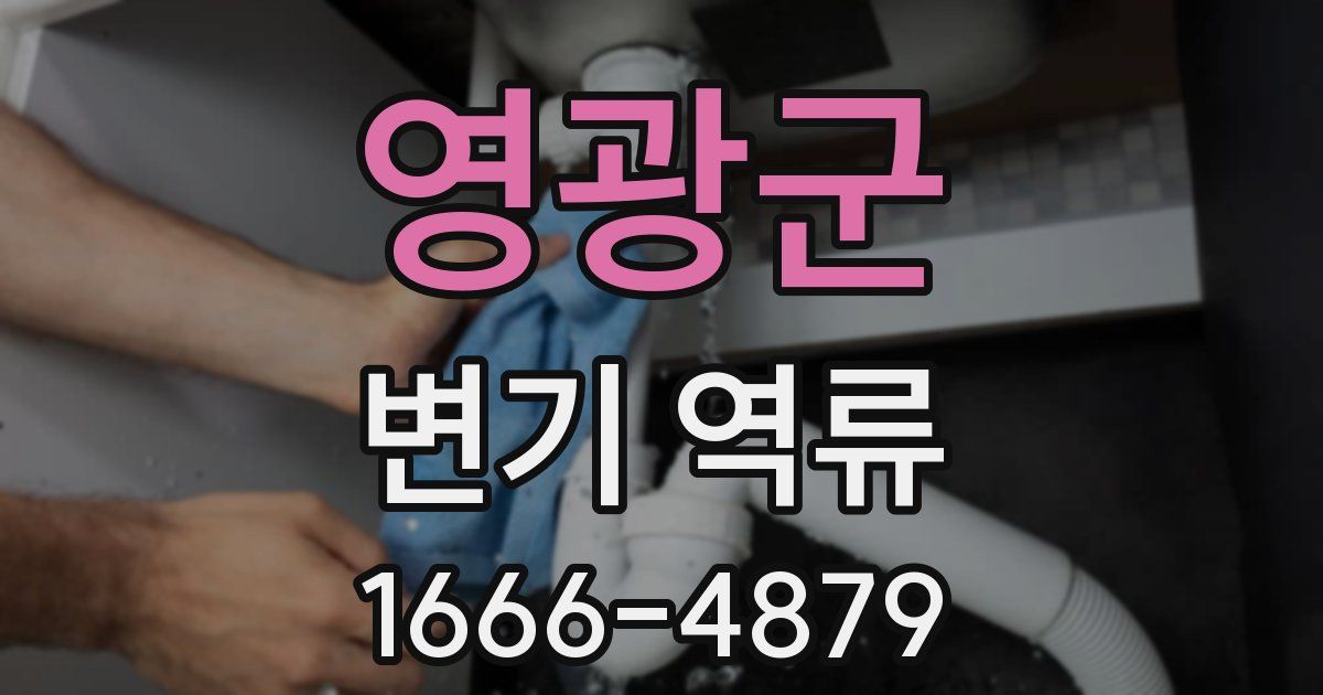 영광군 변기 역류