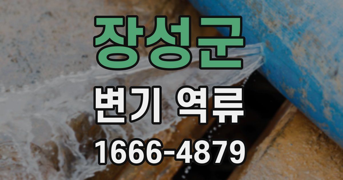 장성군 변기 역류