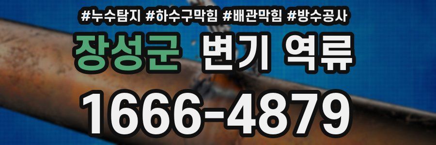 장성군 변기 역류