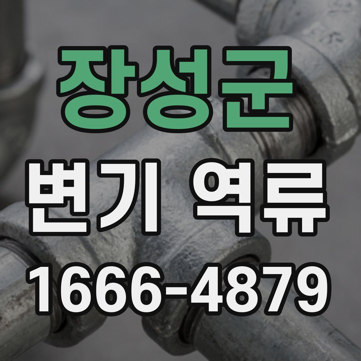 장성군 변기 역류