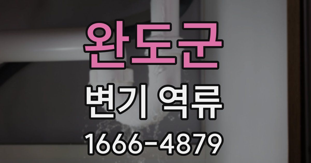 완도군 변기 역류