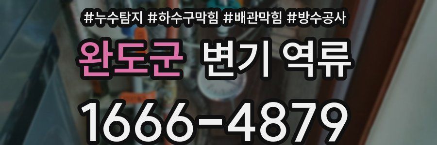 완도군 변기 역류