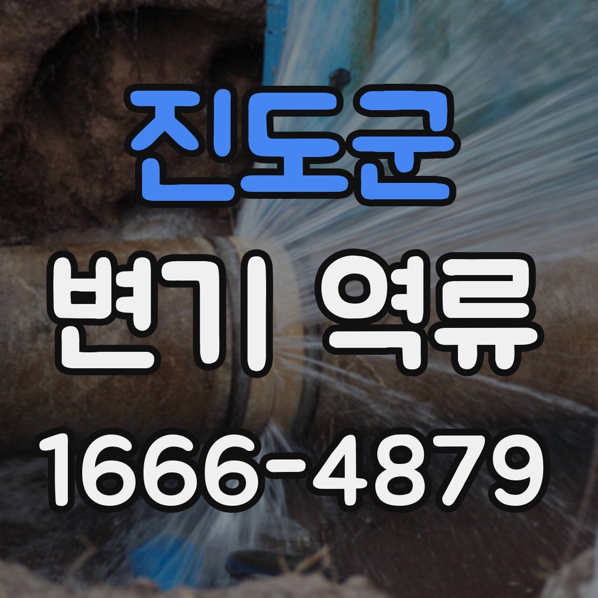 진도군 변기 역류