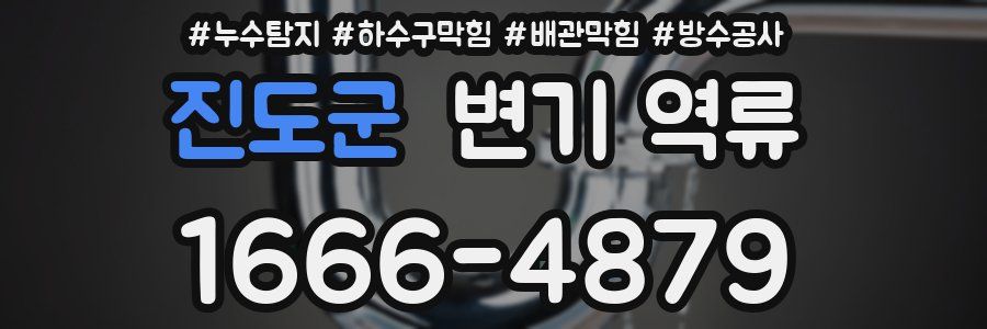 진도군 변기 역류