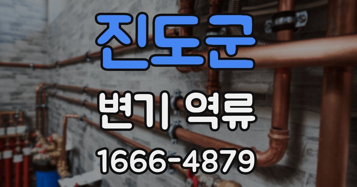 진도군 변기 역류