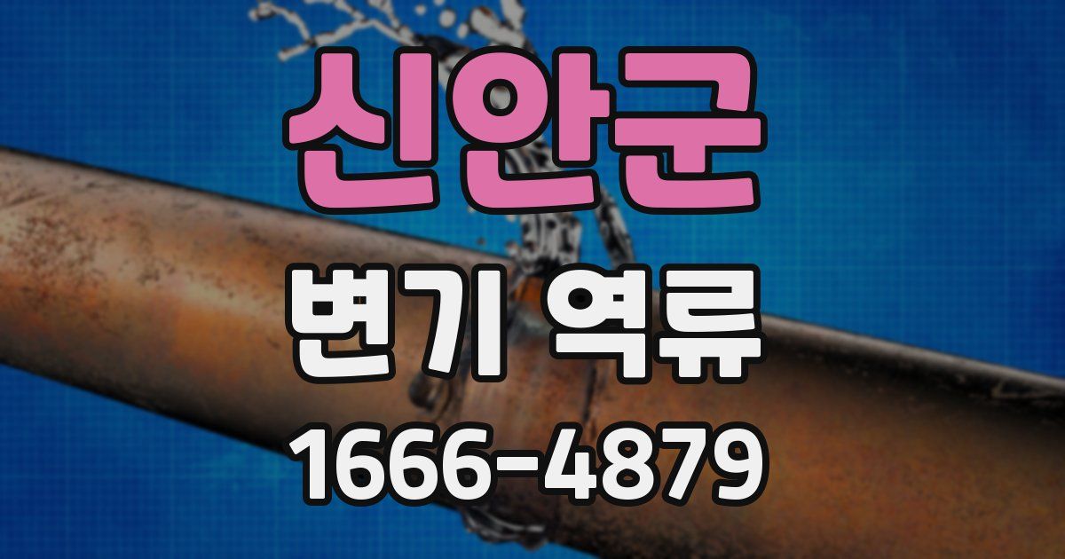 신안군 변기 역류